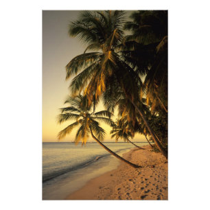 Strand bij zonsondergang, Trinidad Foto Afdruk