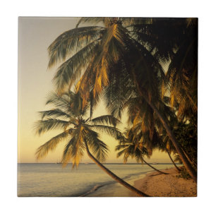 Strand bij zonsondergang, Trinidad Tegeltje