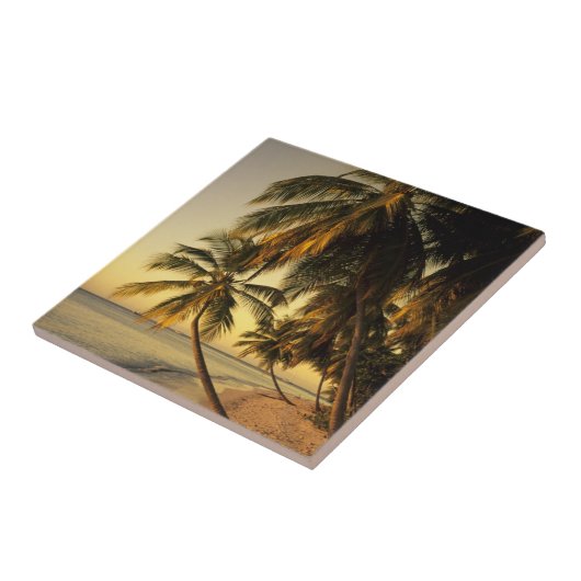 strand bij zonsondergang, Trinidad Tegeltje (Zijkant)