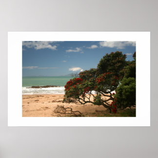 Strand Bliss - Pohutukawa Boom Poster