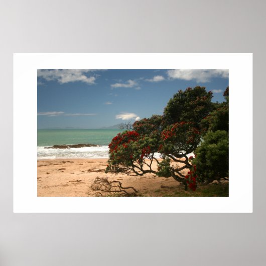 Strand Bliss - Pohutukawa Boom Poster (Voorkant)