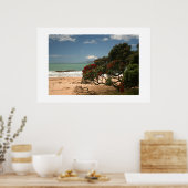 Strand Bliss - Pohutukawa Boom Poster (Keuken)