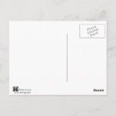 strand briefkaart (Achterkant)