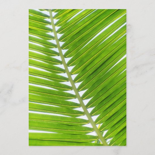 Strand Bruiloft Mojito Wijndruiven Palm Open Bar Menu (Achterkant)