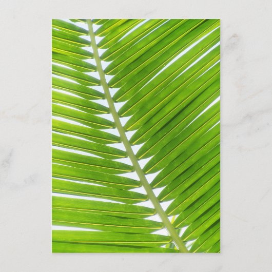 Strand Bruiloft Receptie Diner Seashell Touw Palm Menu (Achterkant)