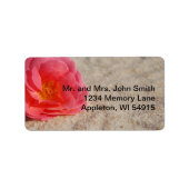 Strand Bruiloft Roos op Sand Label (Voorkant)