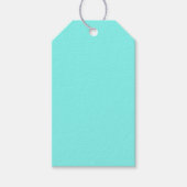 strand chique turquoise aqua Robins Egg Blue Cadeaulabel (Voorkant)