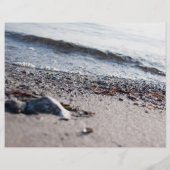 Strand close-up flyer (Achterkant)
