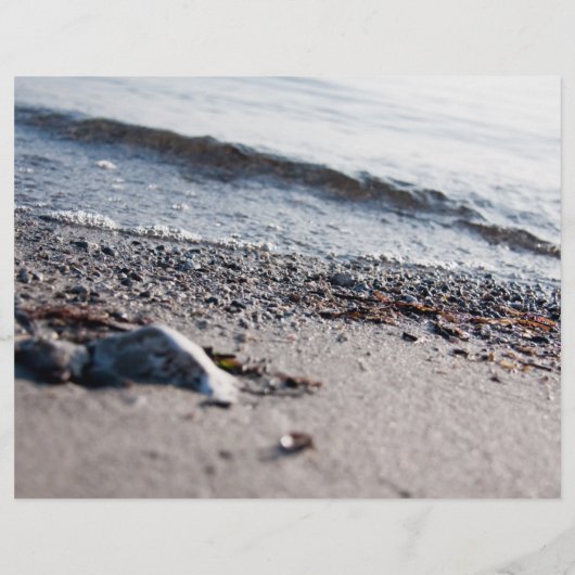 Strand close-up flyer (Achterkant)