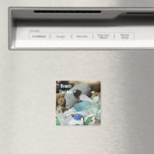 Strand Comber magneten Zeeglas Zee Fossielen (Insitu (Vaatwasser))