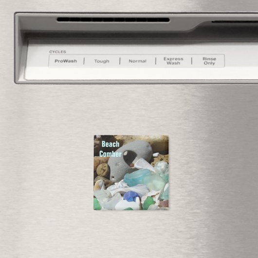 Strand Comber magneten Zeeglas Zee Fossielen (Insitu (Vaatwasser))