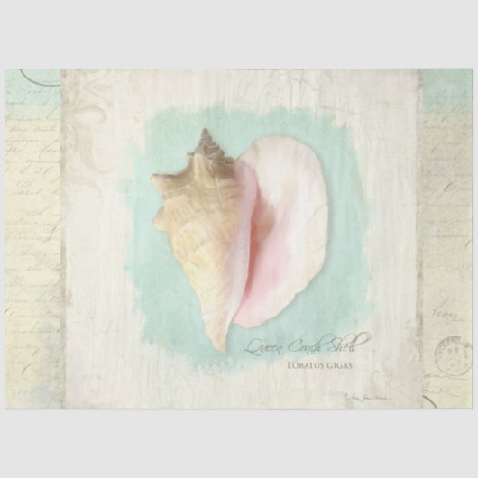 Strand Conch Zee Schelp Blauwe Aquarel Decoupage Tissuepapier (Voorkant)