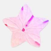 Strand Dollar Strand Coast Mode Pink Meisjesachtig Ster Sticker (Voorkant)