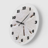 Strand Dollar Strand Schelpen Strand Natuurlijk Tr Grote Klok (Hoek)