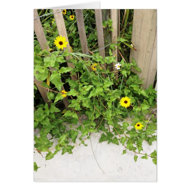 Strand Duinbloemen en hek (Voorkant)