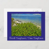 strand / Dune Sunflower briefkaart of uitnodiging (Voorkant / Achterkant)