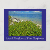 strand / Dune Sunflower briefkaart of uitnodiging (Voorkant)