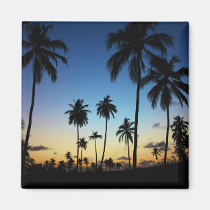 strand en kustdorp   Praia do forte Magneet