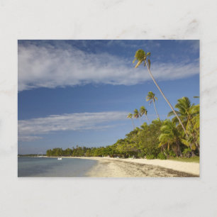 Strand en palmbomen, Plantation Island Resort Briefkaart