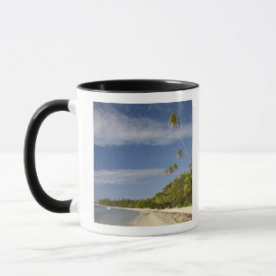 Strand en palmbomen, Plantation Island Resort Mok