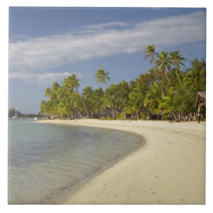 Strand en palmbomen, Plantation Island Resort Tegeltje