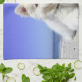 strand- en puppy Kitchen-handdoeken Theedoek (Gevouwen)