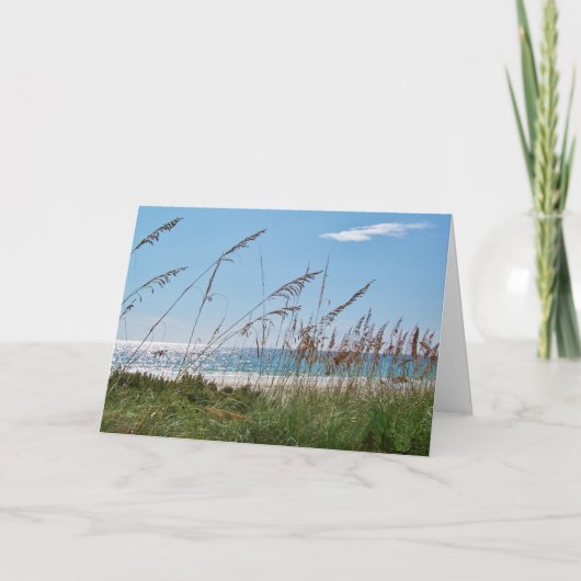 Strand en Zee Haver Wenskaart Kaart (Voorkant)