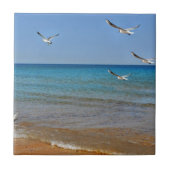 strand en zeegarren tegeltje (Voorkant)