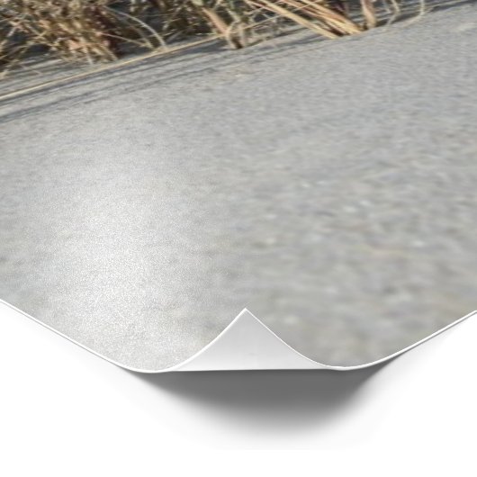 Strand Foto Afdruk (Hoek)