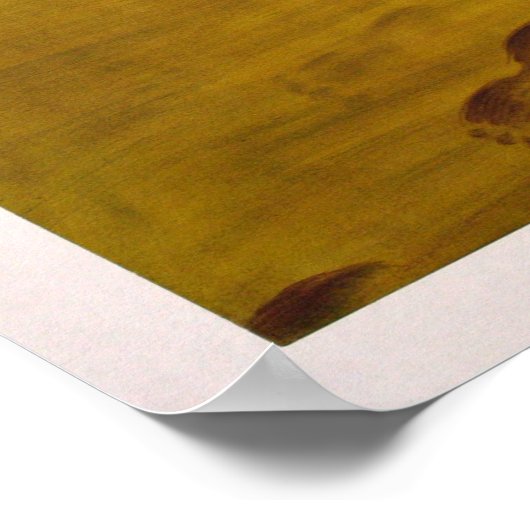 strand in Andalucia Poster (Hoek)