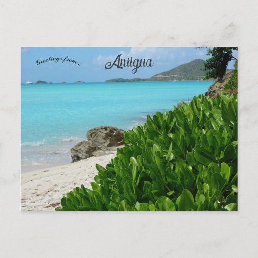 Strand in Antigua Briefkaart (Voorkant)