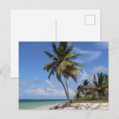 strand in de Dominicaanse Republiek Briefkaart (Voorkant / Achterkant)