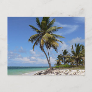 strand in de Dominicaanse Republiek Briefkaart