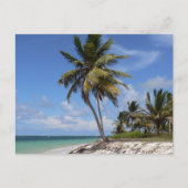 strand in de Dominicaanse Republiek Briefkaart (Voorkant)