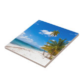 strand in de Dominicaanse Republiek Saona Tegeltje (Zijkant)