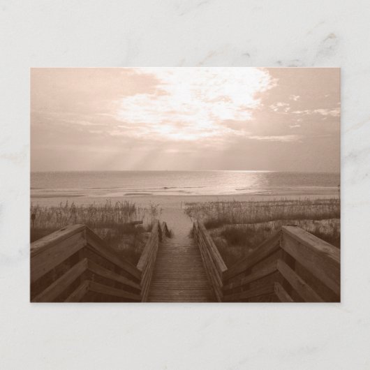 strand in Florida Briefkaart (Voorkant)