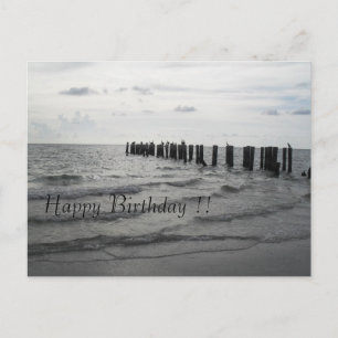 Strand in Florida Pelikane Geburtstagskarte Briefkaart