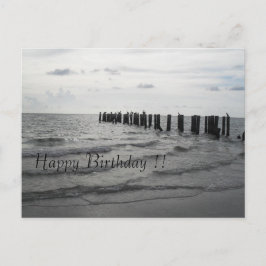 Strand in Florida Pelikane Geburtstagskarte Briefkaart