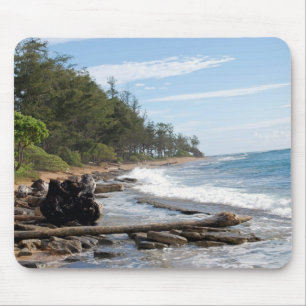 strand in Hawaii Muismat