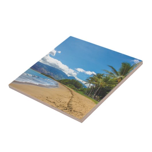 strand in Hawaii Tegeltje (Zijkant)