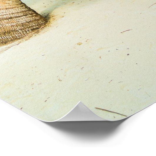 Strand in Malediven poster 2 (Hoek)