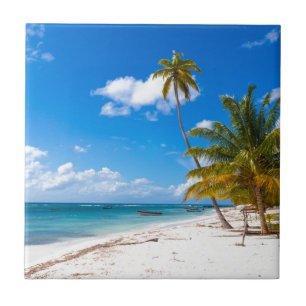 Strand in Saona Dominicaanse Republiek Tegeltje
