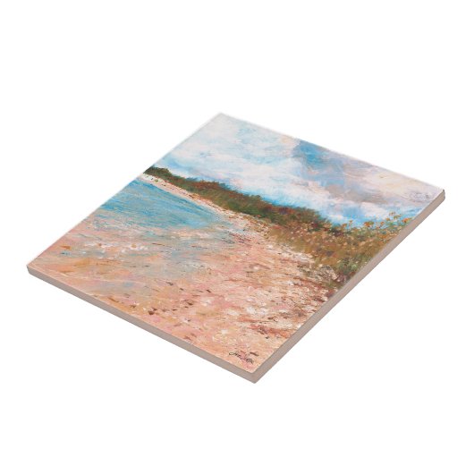 Strand Kust Michigan Shoreline Art Tegeltje (Zijkant)