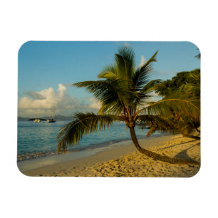 Strand landschap magneet