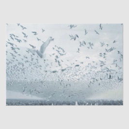 Strand menigte vrede duif foto tissuepapier