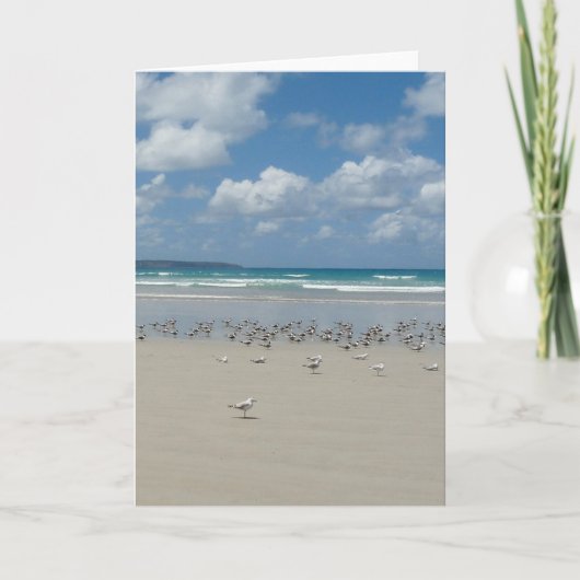 Strand met meeuwen kaart (Voorkant)