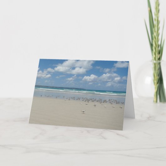 Strand met meeuwen kaart (Voorkant)