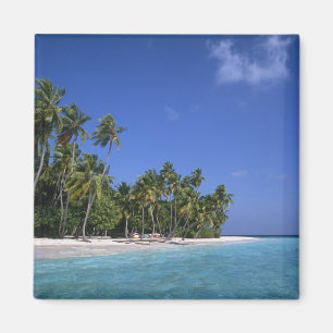 Strand met palmbomen, Malediven Magneet