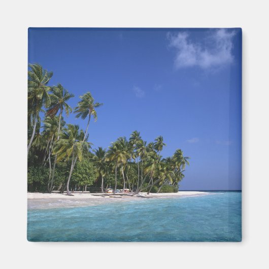 Strand met palmbomen, Malediven Magneet (Voorkant)