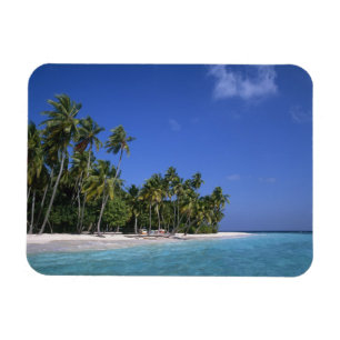 Strand met palmbomen, Malediven Magneet